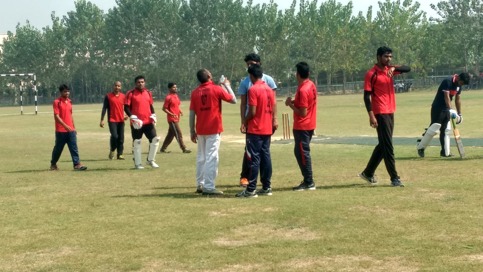 Cricket (2)