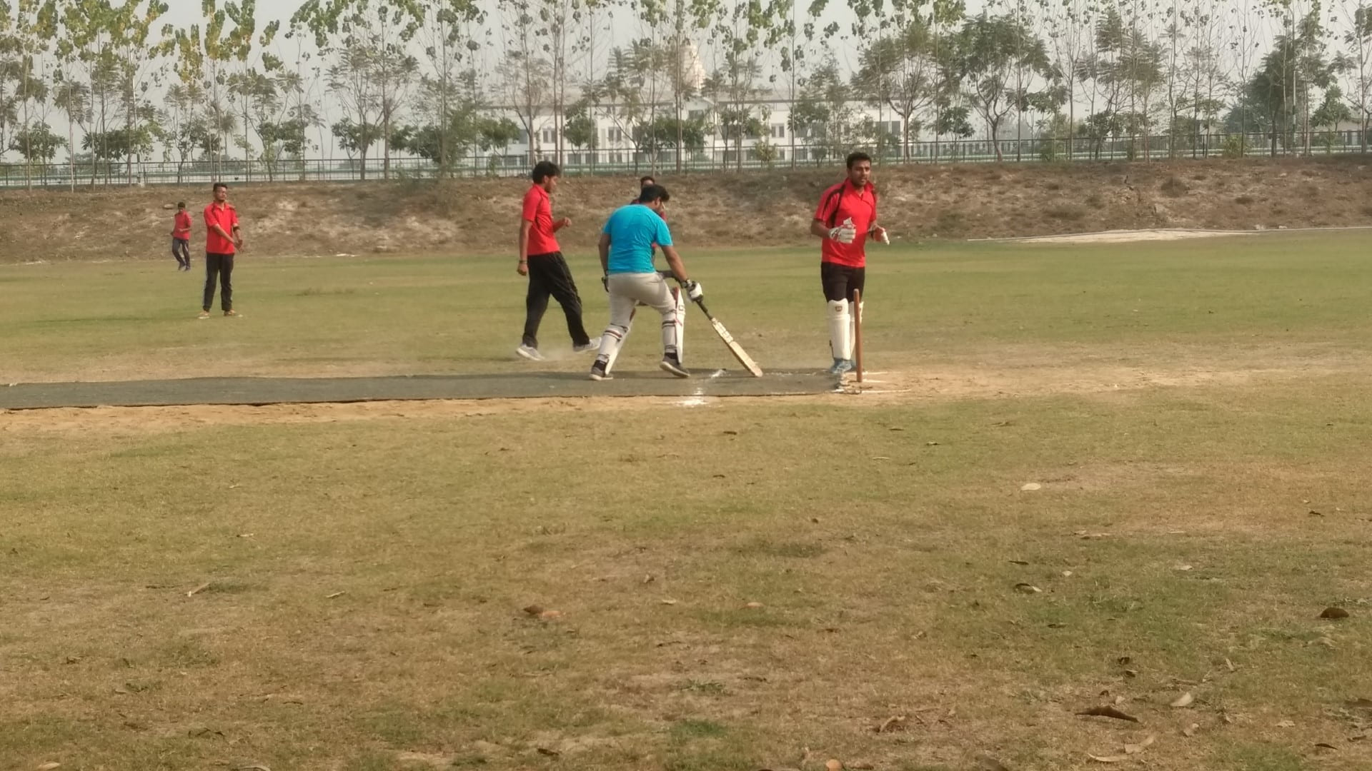Cricket (3)