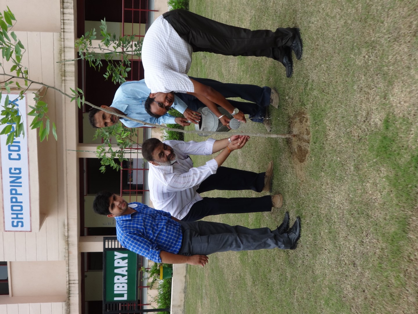 Plantation drive (2)